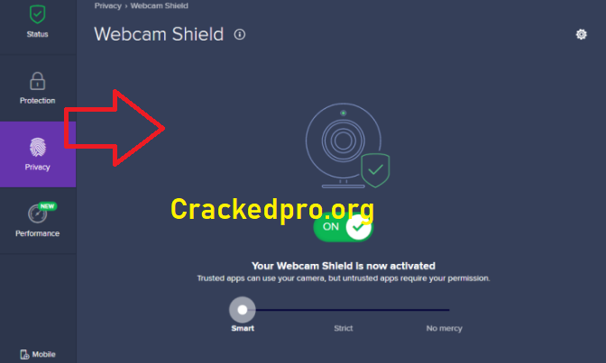 Avast Premier Crack Download