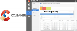 ccleaner premium crack