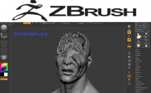 Pixologic ZBrush 2023.1.2 instal the new