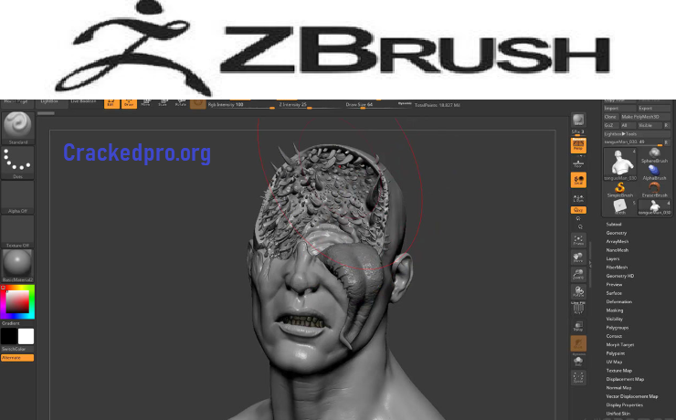 Zbrush Zbrush